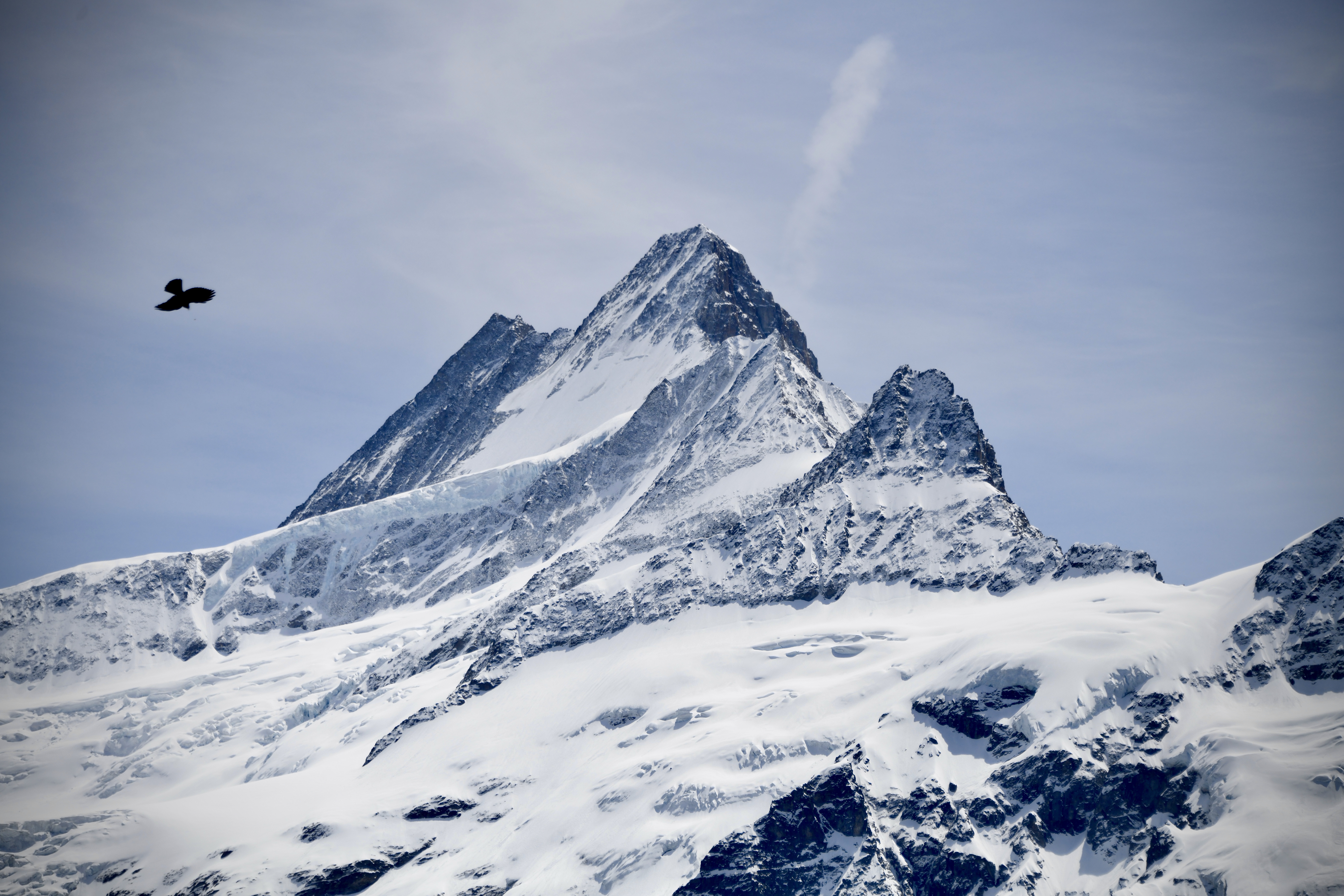 Landscape 5